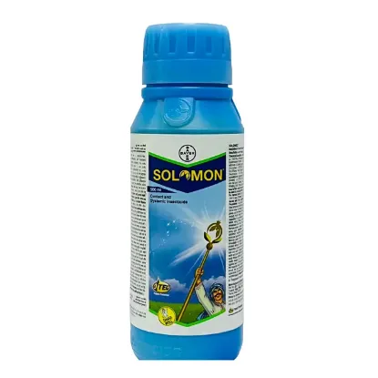Bayer Solomon की तस्वीर