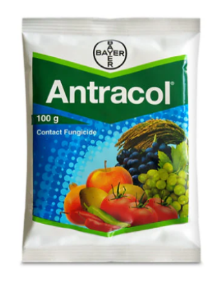 Antracol Fungicide – Propineb 70% WP for Vegetables, Fruits & Paddy की तस्वीर