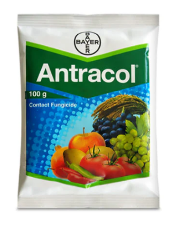 Antracol Fungicide – Propineb 70% WP for Vegetables, Fruits & Paddy की तस्वीर
