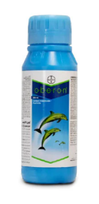 Oberon Insecticide की तस्वीर