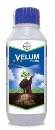 Velum Prime Nematicide Fluopyram 34.48% SC – Root Knot Nematode Control की तस्वीर