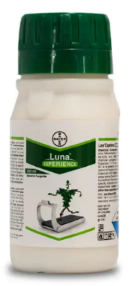 Luna Experience Fungicide – Broad-Spectrum Disease Control by Bayer की तस्वीर