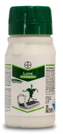 Luna Experience Fungicide – Broad-Spectrum Disease Control by Bayer की तस्वीर