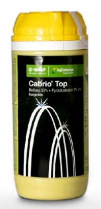 Cabrio Top Fungicide – Metiram 55% + Pyraclostrobin 5% WG Broad Spectrum की तस्वीर