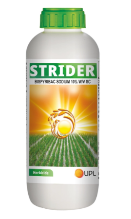 UPL Strider Bispyribac Sodium 10% SC Herbicide, Post Emergence For Herbicide की तस्वीर