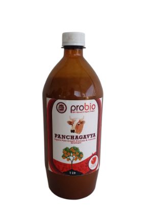 Panchagavya Organic Fertilizer | Growth Promoter - for All Crops 1 ltr की तस्वीर