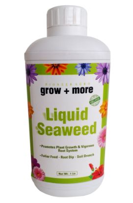 Seaweed Liquid Fertilizer - Organic Fertilizer for Plants 1L की तस्वीर
