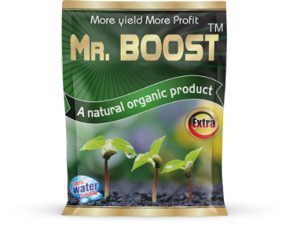 Mr Boost - 30gm की तस्वीर
