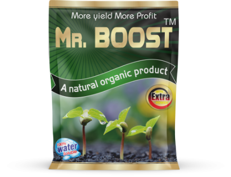 Mr Boost - 30gm की तस्वीर