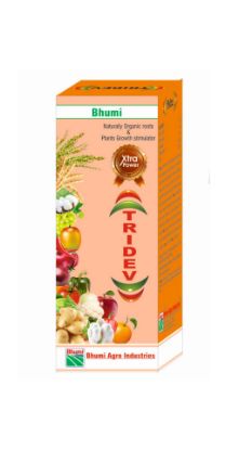 Bhumi Tridev की तस्वीर