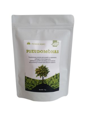 Pseudomonas | Highly Effective Against The Fungal Diseases - 1 Kg की तस्वीर