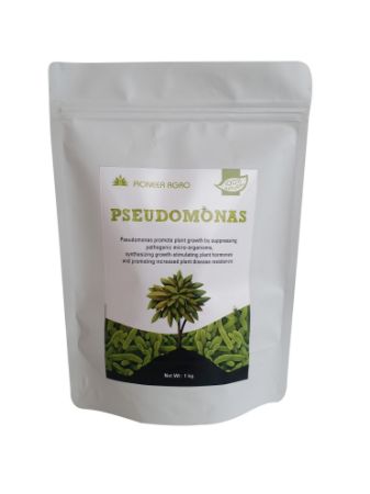 Pseudomonas | Highly Effective Against The Fungal Diseases - 1 Kg की तस्वीर