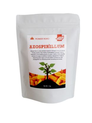 Azospirillum | Organic Bio Fertilizers - 1 Kg की तस्वीर