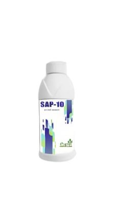 Sap - 10 की तस्वीर
