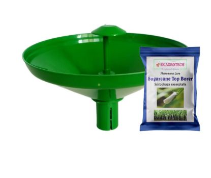 SK Agrotech Pheromone water Traps and Lures for Leucinodes orbonalis (Brinjal Fruit and Shoot Borer) - Effective Pest Management Solution की तस्वीर